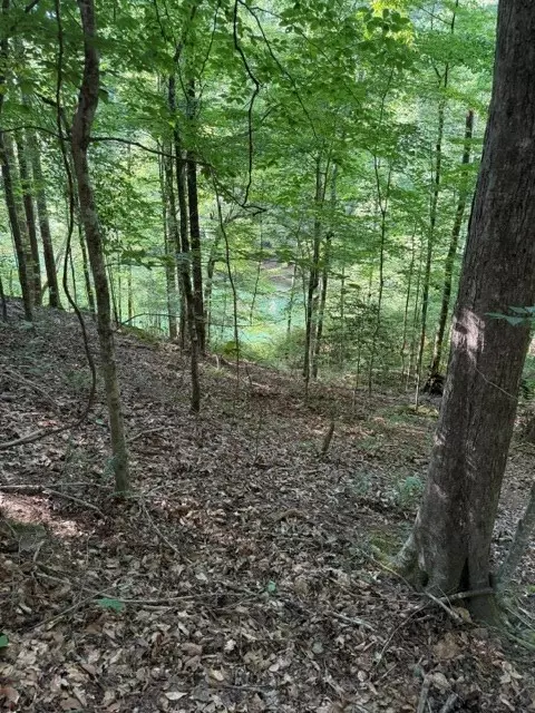 lot37 Quiet Waters, Murphy, NC 28906 photo 5