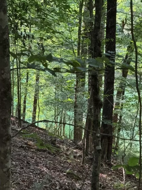 lot37 Quiet Waters, Murphy, NC 28906 photo 6