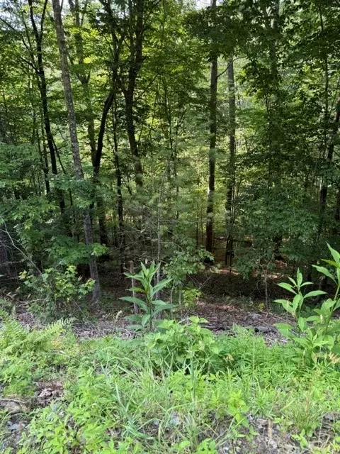lot37 Quiet Waters, Murphy, NC 28906 photo 3