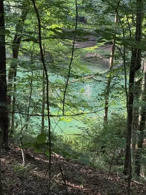 lot37 Quiet Waters, Murphy, NC 28906