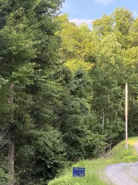 lot37 Quiet Waters, Murphy, NC 28906 photo 4