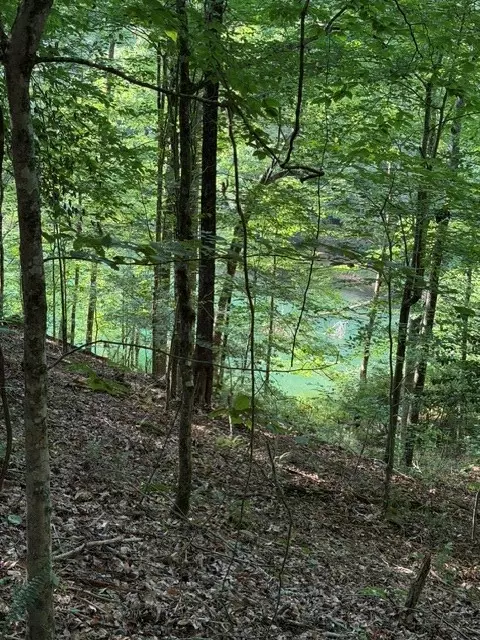 lot37 Quiet Waters, Murphy, NC 28906 photo 7