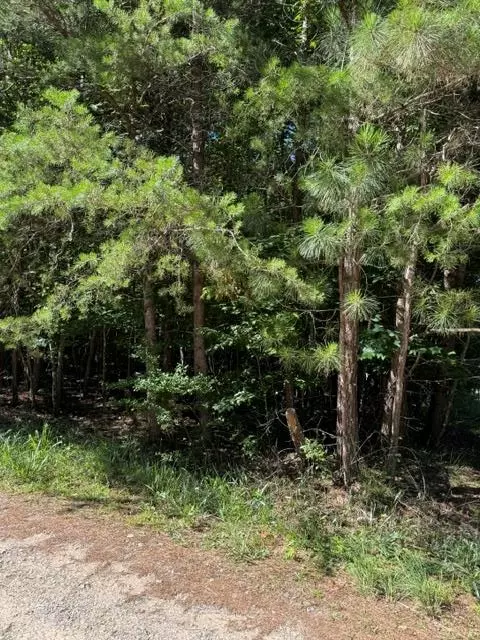 0 Southern Pines Dr, Ellijay, GA 30540