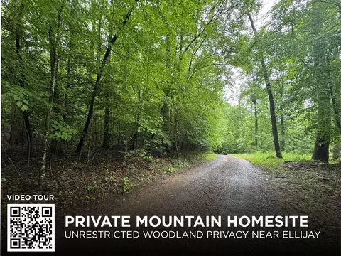 1 23 Ac Bear Run Cir, Ellijay, GA 30540
