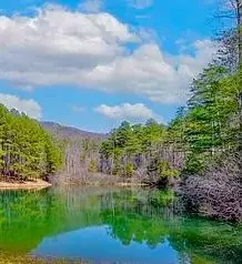 00 Golden Delicious Rd, Clarkesville, GA 30523