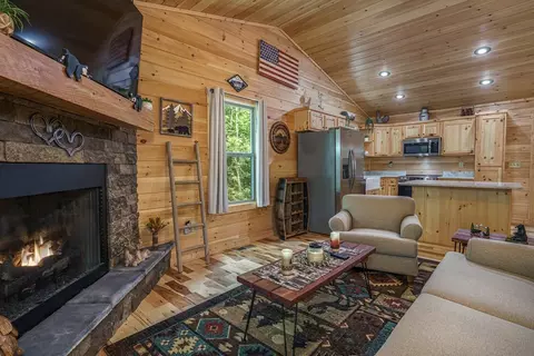 Living - 297 Summitt Ln, Murphy, NC 28906 photo 3 of 4