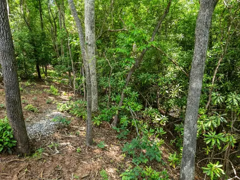 Other - 297 Summitt Ln, Murphy, NC 28906 photo 2 of 5
