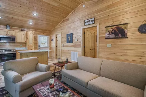 Living - 297 Summitt Ln, Murphy, NC 28906 photo 4 of 4