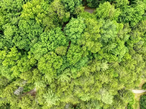 664 High Ridge Rd, Murphy, NC 28906 photo 38