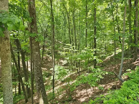 549 NE Myriad Way, Ranger, GA 30734 photo 3