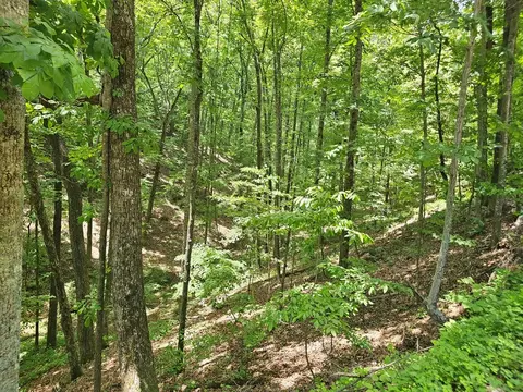 549 NE Myriad Way, Ranger, GA 30734 photo 2