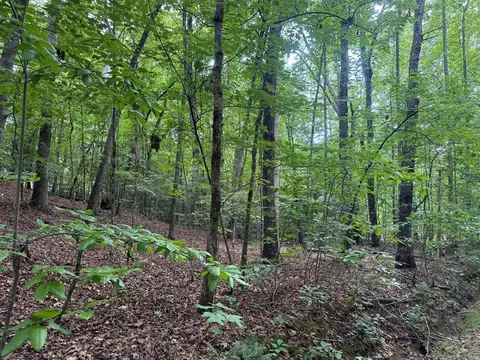 25 Mccracken Cove Rd, Hayesville, NC 28904