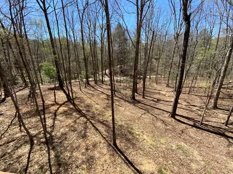 28 Copper Fox Cor, Murphy, NC 28906 photo 8