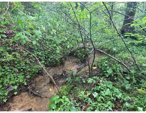 4 1 Ac Charlotte Mountain Rd, Ellijay, GA 30540