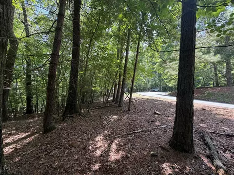 3545 Newport Dr, Ellijay, GA 30540