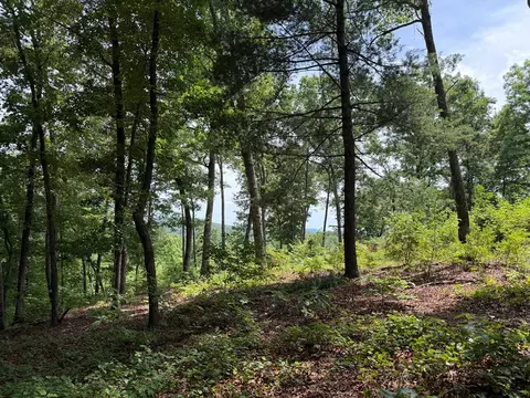 lot20 Lake Top Ln, Ellijay, GA 30540
