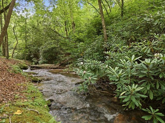 86 Pounding Mill Rd, Hayesville, NC 28904