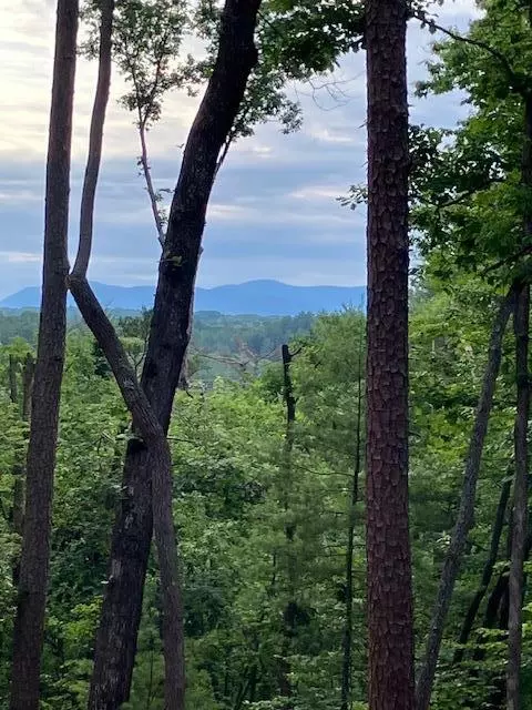 lot132 Red Oak Trl, Ellijay, GA 30540