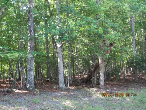lot8 S Quail Cove Cir, Warne, NC 28909