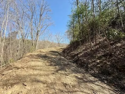 lot3 Wild Laurel, Brasstown, NC 28902