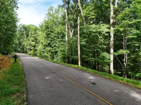 lot131 Laurel Xing, Blue Ridge, GA 30513