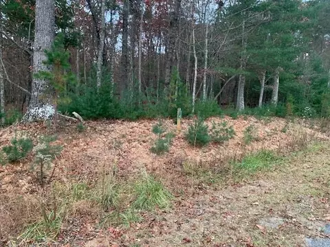 lot4 Courtney Ln, Blairsville, GA 30512