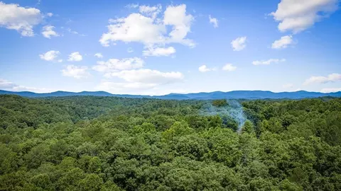 290 Graham Ct, Ellijay, GA 30540