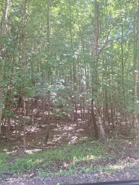 0 Judah Rd, Morganton, GA 30560