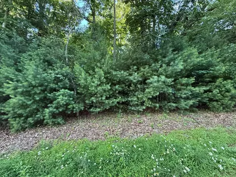 lot65 Lennox Pt, Blairsville, GA 30512