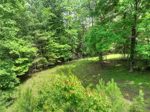 lot132 Fox Cove Rd, Blairsville, GA 30512