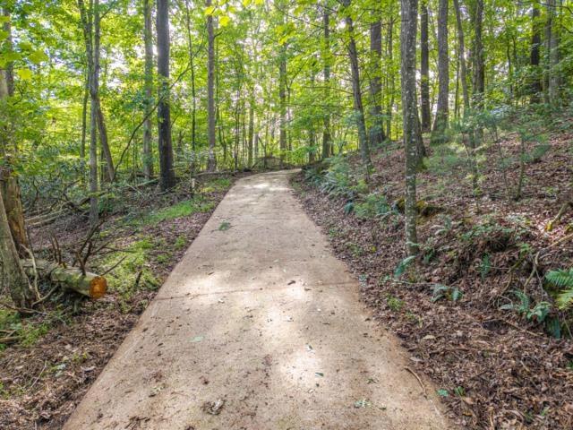 5198 Flat Branch Rd, Ellijay, GA 30540