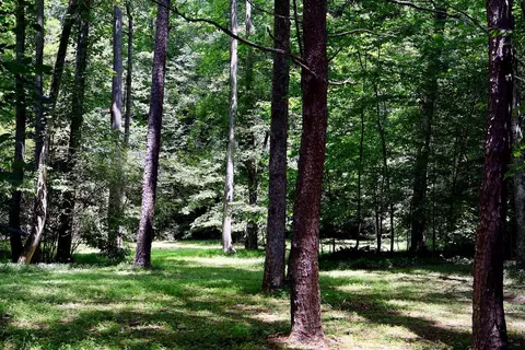 00 Wolf Mountain Rd, Murphy, NC 28906 photo 13