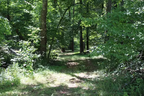 00 Wolf Mountain Rd, Murphy, NC 28906 photo 17