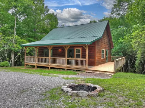 295 Ross Dr, Mineral Bluff, GA 30559