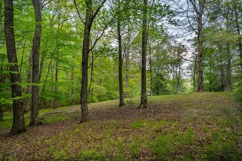 lot3 4 Scouts Overlook Ln, Morganton, GA 30560