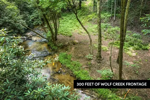 00 Mill Race Dr, Mineral Bluff, GA 30559