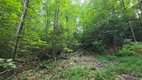 lot14 Kilpatrick Point Ter, Hayesville, NC 28904
