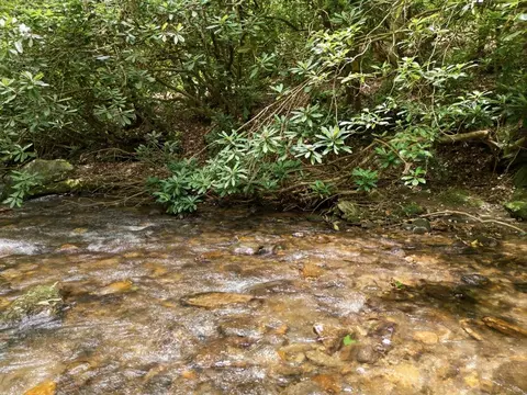 84 Pounding Mill Crk, Hayesville, NC 28904