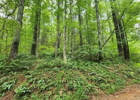2 Poplar Cv # A, Suches, GA 30572