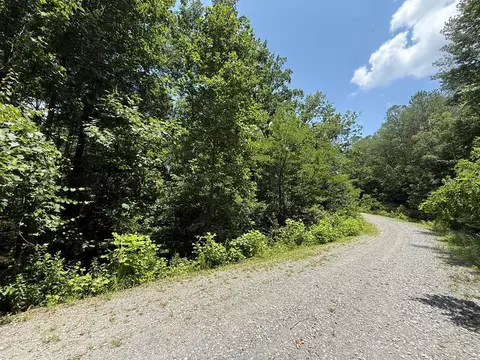 lot E9 Reece Mountain Rd, Ellijay, GA 30536
