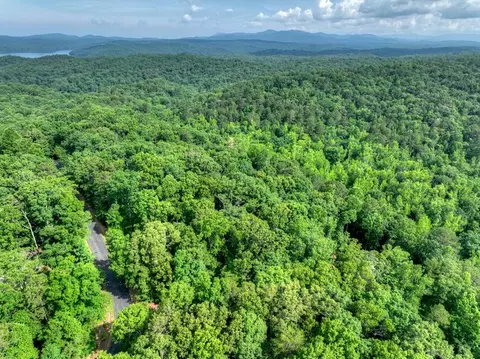 61 North Harris Creek Drive, Ellijay, GA 30540