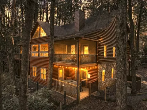 Exterior - 58 River Rd, Cherry Log, GA 30522 photo 2 of 11