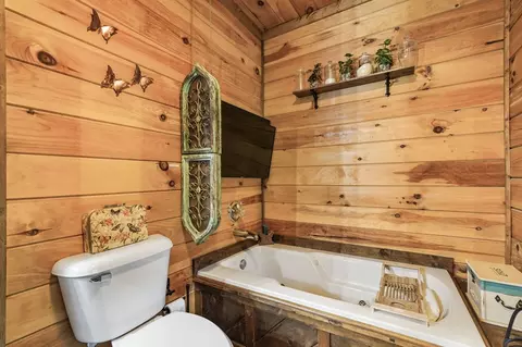 Bath - 58 River Rd, Cherry Log, GA 30522 photo 5 of 10