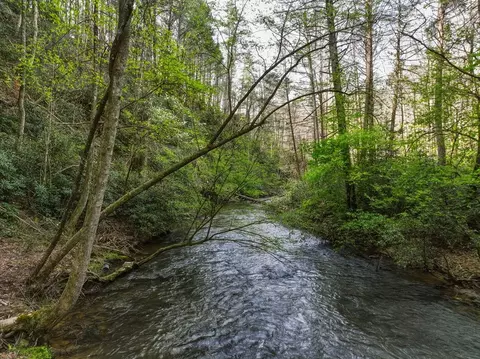 View/Area - 58 River Rd, Cherry Log, GA 30522 photo 3 of 7