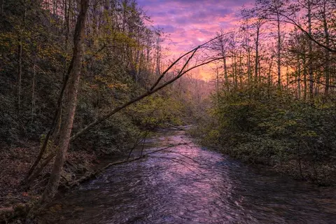 Other - 58 River Rd, Cherry Log, GA 30522 photo 6 of 6