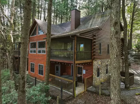 Exterior - 58 River Rd, Cherry Log, GA 30522 photo 3 of 11