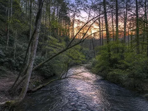 View/Area - 58 River Rd, Cherry Log, GA 30522 photo 1 of 7