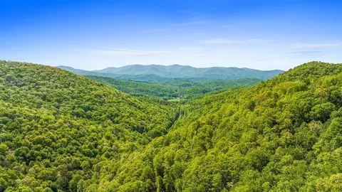 lot18 Cub Trl, Cherry Log, GA 30522