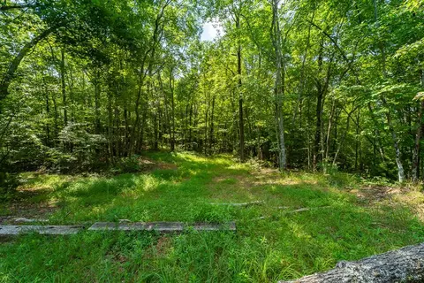 1 And 2 Blue Arrow Ln, Mineral Bluff, GA 30559