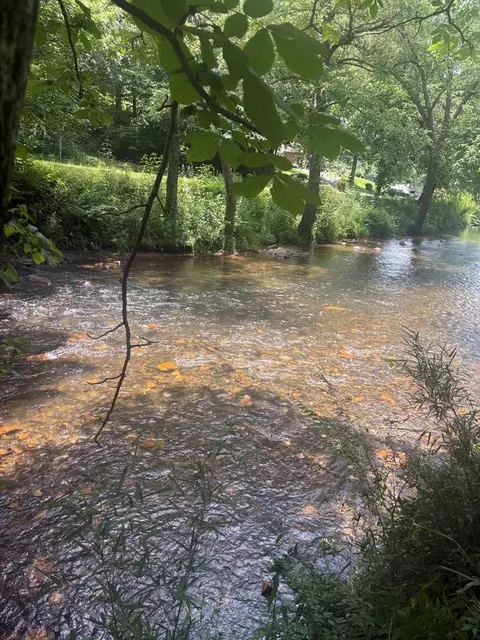 lot6 Creekfront Ln, Hayesville, NC 28904